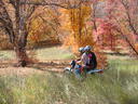Riding in CBC