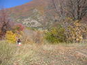 IMG_2558.JPG