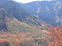 IMG_2584.JPG