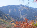IMG_2585.JPG