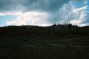 4891-R1-15-9A.jpg