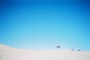 4892-R1-03-22A.jpg