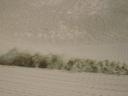 IMG_1741.JPG