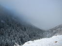 IMG_4049.JPG