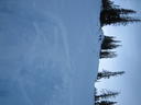 IMG_4106.JPG