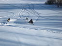 IMG_2266.JPG